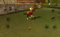 Show Jumping Two Country Race Screen Shot 3