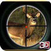 Deer Sniper Hunt