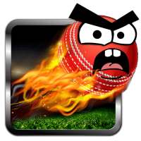 Angry Cricket Arcade Style