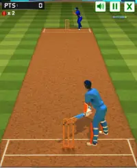 Cricket Batter Challenge Screen Shot 2