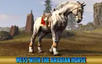 घोड़े साहसिक यात्रा: हॉर्स रेसिंग खेल Screen Shot 2