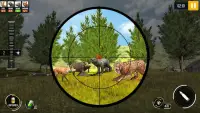 Caccia agli animali selvatici 2020 - Animal Hunt Screen Shot 4