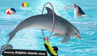 Dolphin Water Stunts Show Screen Shot 6