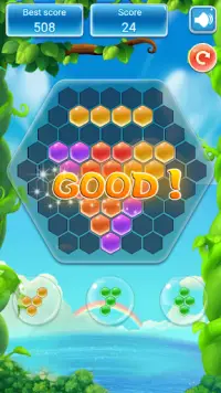 Hexagon Block Puzzle - Hex Match & Magic Tiles Screen Shot 0