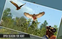 Birds Jungle Sniper Hunting Screen Shot 2