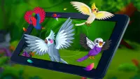 Bird Land Paradise: Pet Shop Game, Play with Bird Screen Shot 6