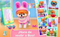 Boo – El Perro Más Lindo Screen Shot 0