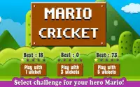 Mario Cricket World Screen Shot 1