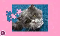 Cats - Jigsaw Puzzles Screen Shot 1