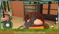 Pet Lapin vs chien attaque 3D Screen Shot 8