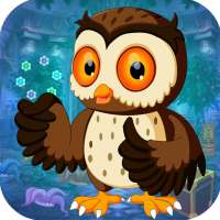 Best Escape Game 428 Night Owl Rescue Game