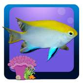 Freshwater Fish Counting Game
