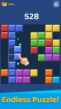 Block Master - Puzzle Game Screen Shot 0