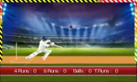 World T20 Cricket 2016 Screen Shot 13