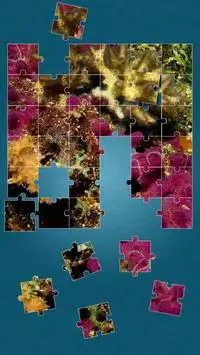 Under the Sea Jigsaw Puzzles Screen Shot 7