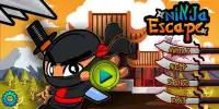 ninjas de escape Screen Shot 7