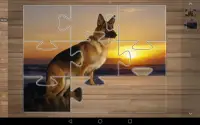 Dog Puzzle Games Free Screen Shot 7