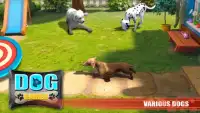 Dog Games - Sim, Stunts & Simulator Screen Shot 2