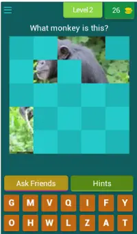 Guess the Monkey - 2021 Quizz Screen Shot 3