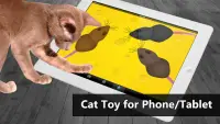 Cat Toys - MouseHunt Cat Games Screen Shot 0