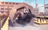 Elite Apes Training Free Screen Shot 0