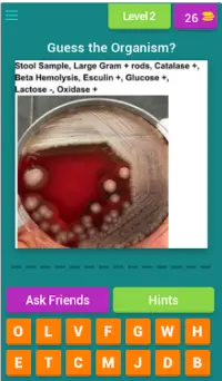 Microbiology quiz; plate reading app. Screen Shot 5