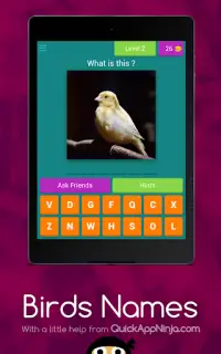 Birds Names Screen Shot 8