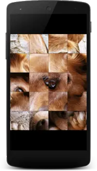 Dogs Jigsaw Puzzles for Kids Screen Shot 2