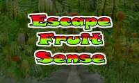 Escape Fruit Sense Screen Shot 2