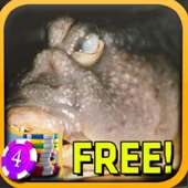 3D Ugly Fish Slots - Free