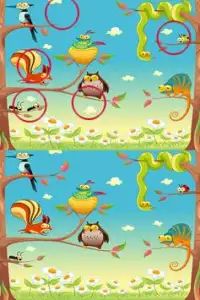 Find Difference Animals Game Screen Shot 1