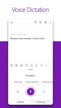 Microsoft OneNote: Save Notes Screen Shot 3