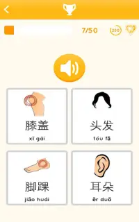 Imparare Cinese - Principianti Screen Shot 23
