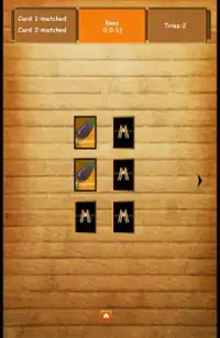Memory Game:Match Cards Screen Shot 3