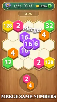 Hexa Block Puzzle - Merge! Screen Shot 1