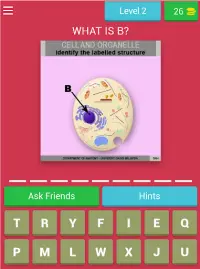 Anatomy Online Quiz: Cell and  Screen Shot 8
