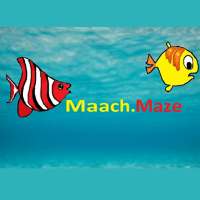 Maach Maze