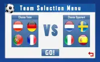 Euro 2016 Fußball spiel Screen Shot 11