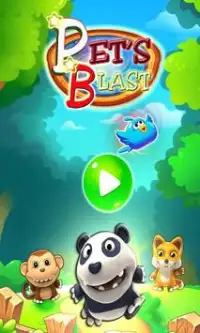 PET BLAST Screen Shot 1