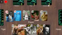 Animals Durak Cards Game Screen Shot 3
