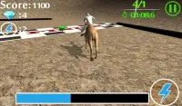 гонки на верблюдах Screen Shot 1