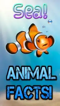 Sea Life Games & Fun Facts Screen Shot 5