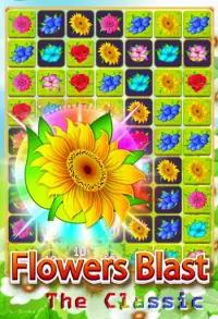 Flower Blast Ang Classic! Screen Shot 1