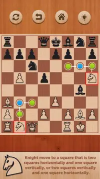 Chess Game Screen Shot 1