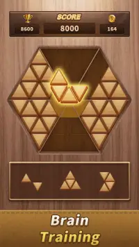 Woody Trigon Block Puzzle Game Screen Shot 4