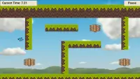 Bird Flying School - Obstacle Course Screen Shot 4