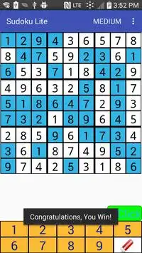 Sudoku Lite Screen Shot 4