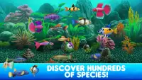 Fish Tycoon 2 Virtual Aquarium Screen Shot 1