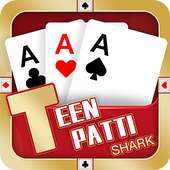 Teen Patti Shark