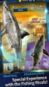 Fishing Rivals : Hook & Catch Screen Shot 6